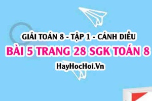 Giải bài 5 trang 28 Toán 8 Tập 1 SGK Cánh Diều